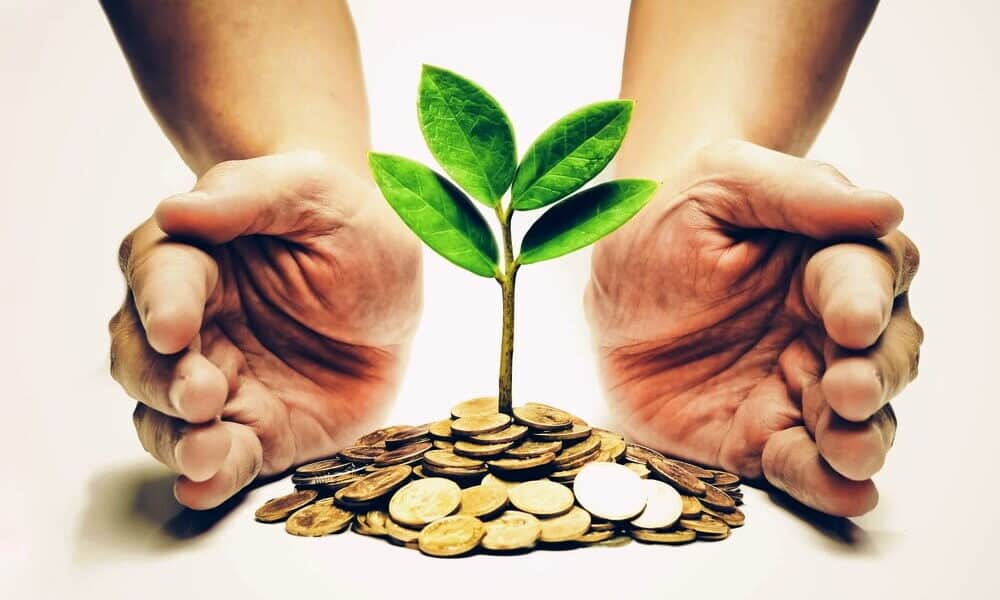 Eco-Investing: How Going Green Can Grow Your Wealth