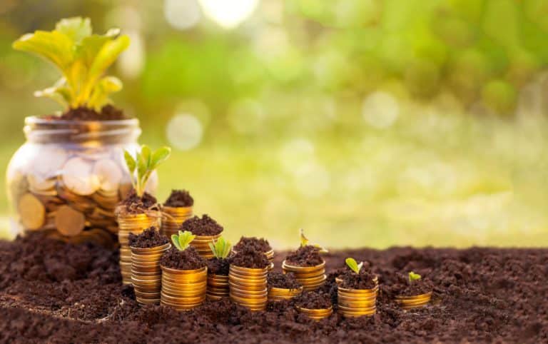 Understanding Agricultural Investments