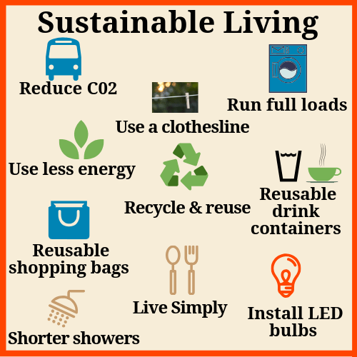 Sustainable Living On A Budget: Tips And Tricks