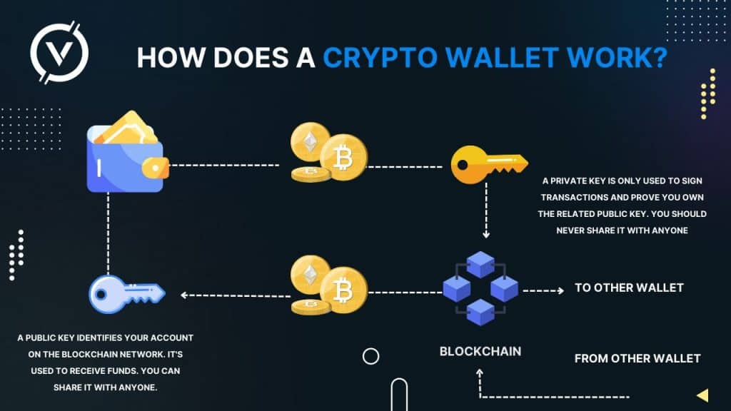 Understanding Crypto Wallets: A Basic Guide